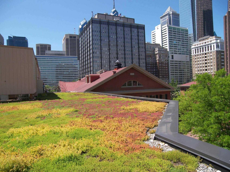 paysagiste-TOUET DE L ESCARENE-min_green-roof-portfolio-4